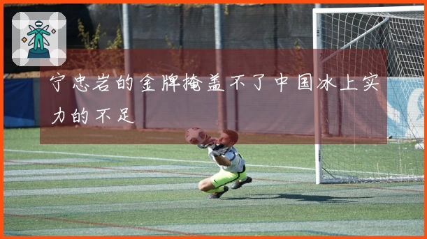 宁忠岩的金牌掩盖不了中国冰上实力的不足