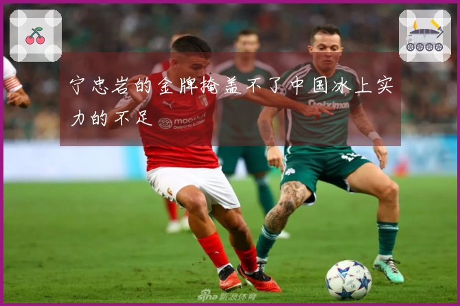 宁忠岩的金牌掩盖不了中国冰上实力的不足